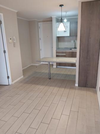 ARRIENDO DEPARTAMENTO 1D+1B, INCLUYE ESTACIONAM.