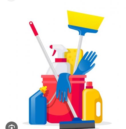 SERVICIOS DE LIMPIEZA 