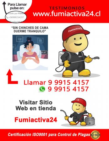 FUMIGACION CHINCHES DE CAMA EN LAMPA
