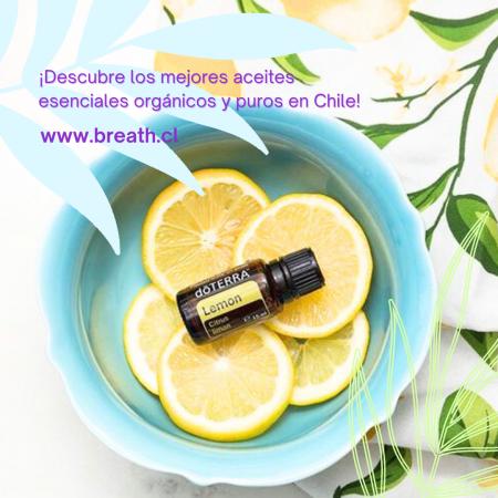 DESCUBRE LOS MEJORES ACEITES ESENCIALES ORGÁNICOS 