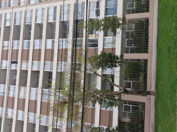 DEPARTAMENTO A UNA CUADRA DE METRO CIUDAD DEL NIÑO