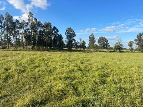 OPORTUNIDAD TERRENOS EN CHILLAN Y NACIMIENTO 