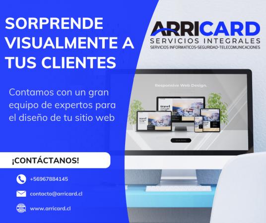 DISEÑO WEB PROFESIONAL