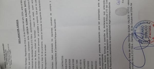 DOCUMENTO PERDIDO