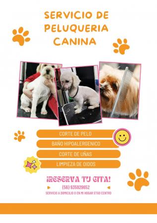 SERVICIO PELUQUERÍA CANINA 