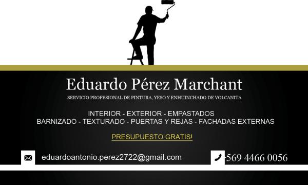 SERVICIOS PROFESIONALES PINTURAS YESOS ENLUCIDOS
