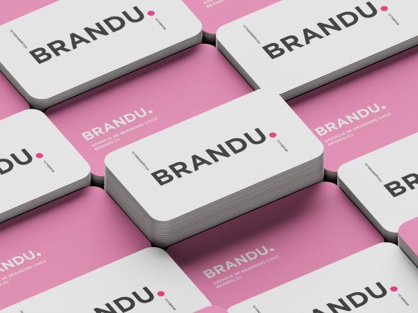 BRANDU AGENCIA DE BRANDING EN CHILE 