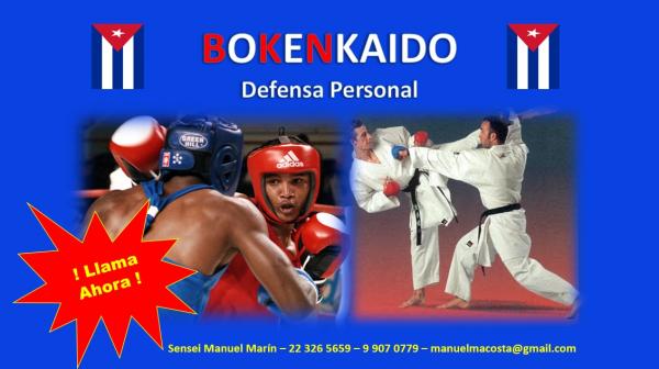 CLASES PERSONALIZADAS DE DEFENSA PERSONAL 