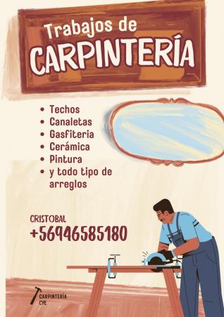 MAESTRO CARPINTERO 