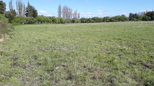 VENDO PARCELA AGRICOLA DE 17,8 HÁS EN LOS ANGELES