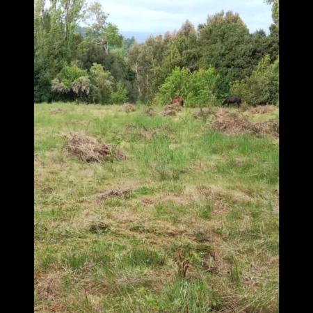 VENTA DE PARCELA  CON ACCESO AL RÍO!