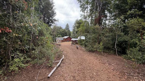 1 HECTÁREA CON 2 CASA EN CABURGUA