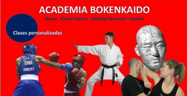 CLASES PERSONALIZADAS DE DEFENSA PERSONAL 