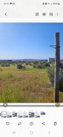 TERRENO DE 5.000 METROS, CON LUZ