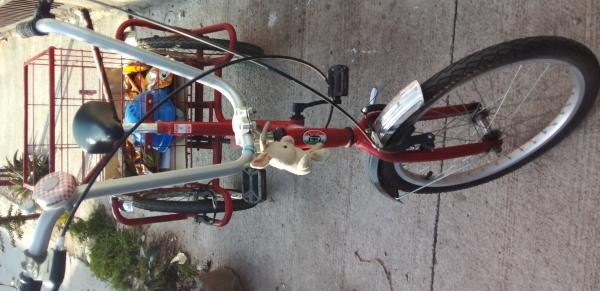 BICICLETA CON CARRO 