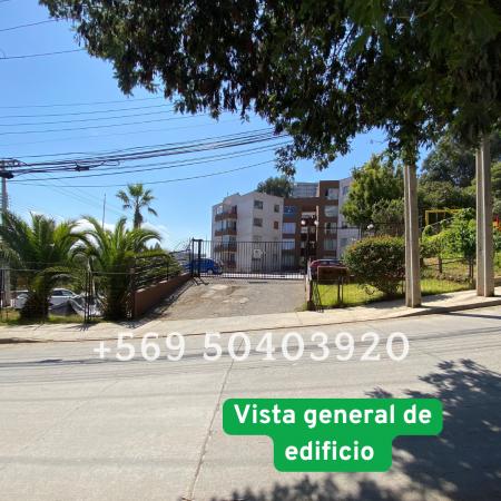 DEPARTAMENTO VIÑA DEL MAR CAMINO INTERNACIONAL 