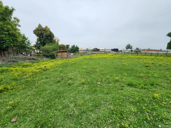 SE VENDE TERRENO DE 10.600 M2 EN MACHALI