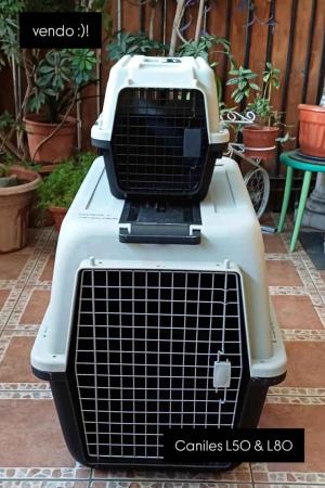 CANILES TRANSPORTE