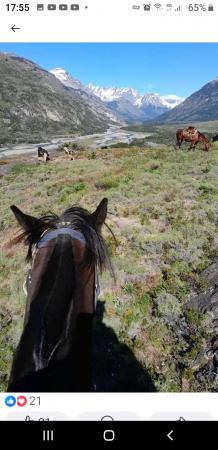 VENDO TERRENO