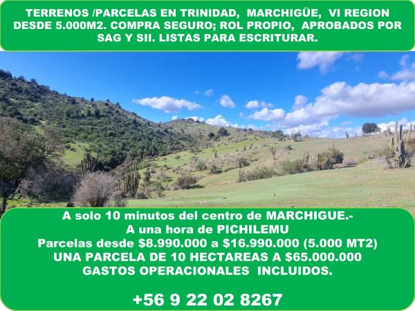 VENTA TERRENOS FAMILIARES