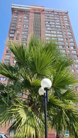DEPTO. EN ARRIENDO GENERAL BULNES - SANTIAGO 