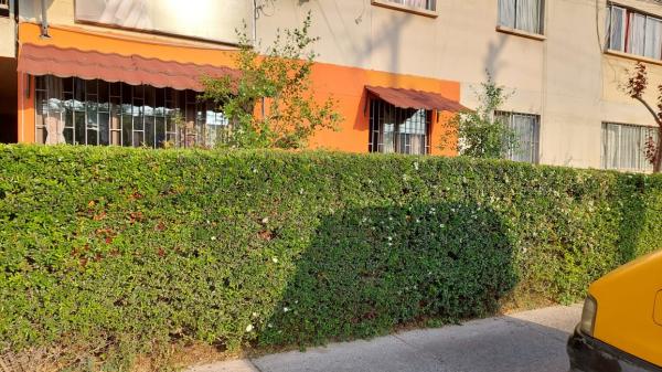 ARRIENDO DEPARTAMENTO