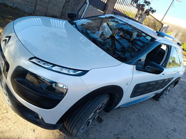 CITRON C4 CACTUS