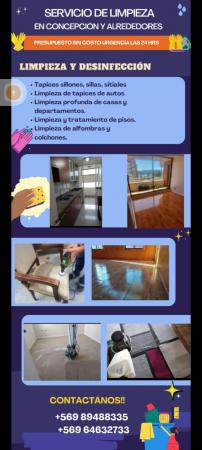 LIMPIEZA DE TAPICES Y ALFOMBRAS 