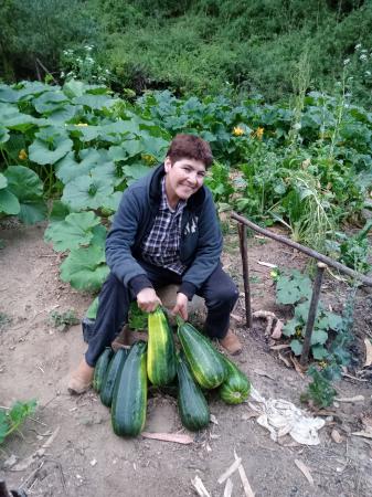JARDINERÍA CON EXPERIENCIA 