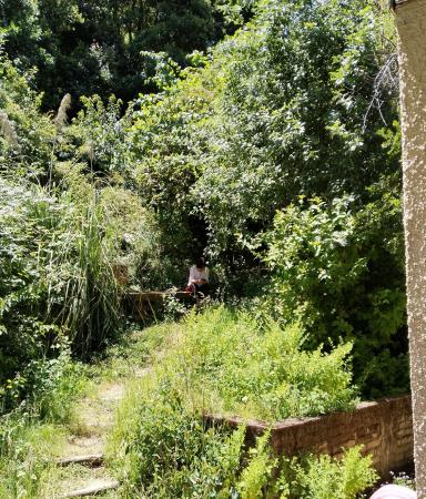 VENDO PARCELA DE MEDIA HECTÁREA EN LOS LLEUQUES