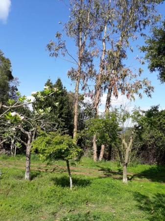 VENTA CASA QUINTA.