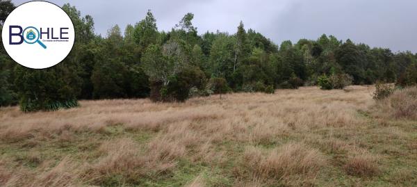 VENDO - CAMPO DE 67 HA SECTOR CADIQUEN, MAULLÍN