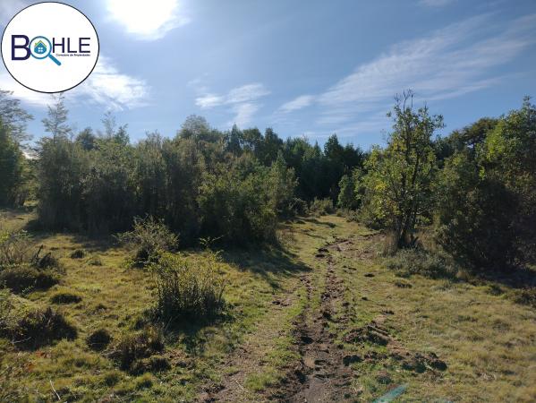 VENDO - CAMPO 82 HA EN PARGUA