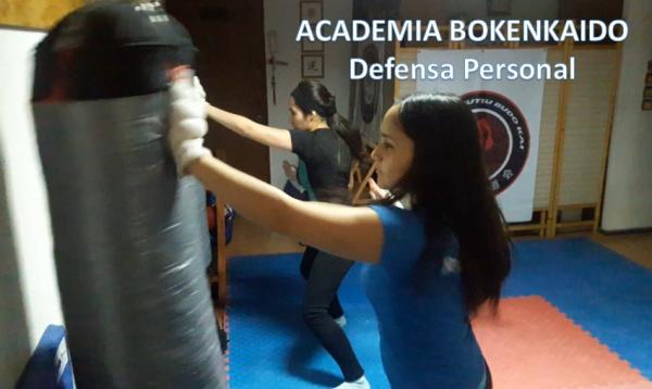 CLASES PERSONALIZADAS DE DEFENSA PERSONAL 