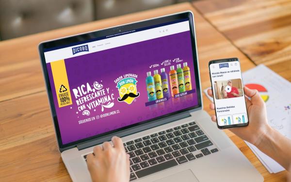 SITIOS WEB / LANDINGPAGE / E-COMMERCE