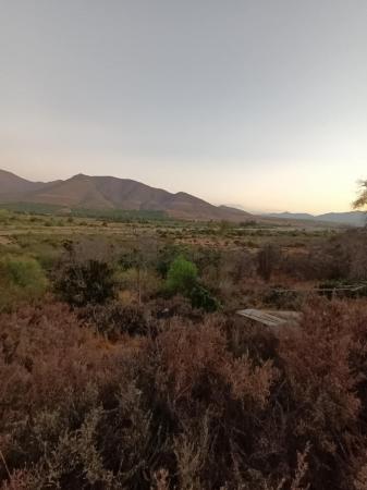 PARCELA A 25 MINUTOS DE OVALLE. VENDE DUEÑA