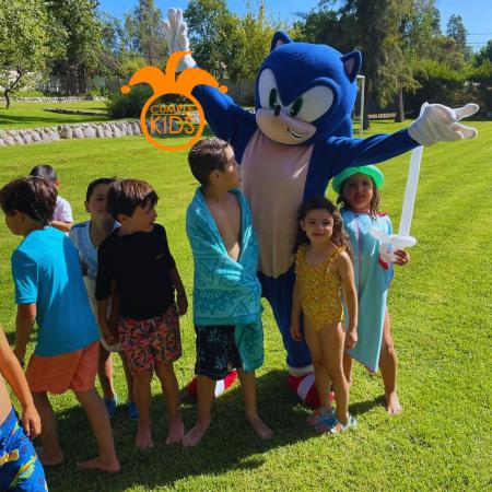 ARRIENDO DE CORPÓREO DE SONIC Y AMY ROSE