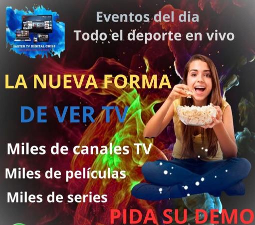 Categoria