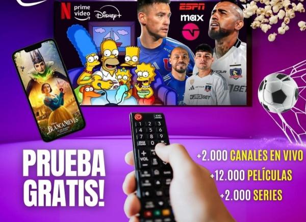 Categoria