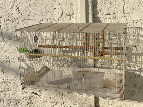 JAULA PARA TODO TIPO DE AVES ? ESPACIOSA Y SEGURA 