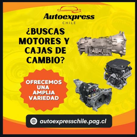 Categoria