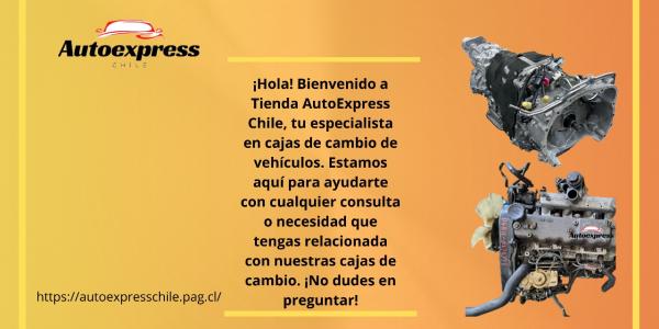 Categoria