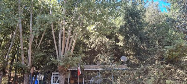 SE VENDE PARCELA DE 5.000 MTS 2 CON CASA 
