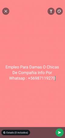 NECESITAMOS DAMAS DE COMPAÑIA 