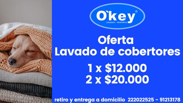 LAVADO ALFOMBRAS Y CORTINAS A DOMICILIO