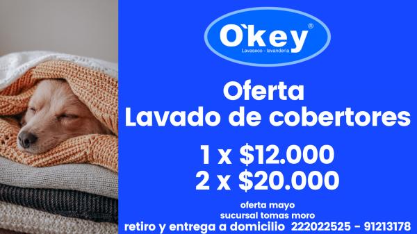 LAVADO ALFOMBRAS Y CORTINAS A DOMICILIO