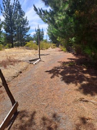 VENTA DE TERRENO EN YUNGAY