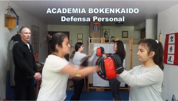 CLASES PERSONALIZADAS DE DEFENSA PERSONAL 