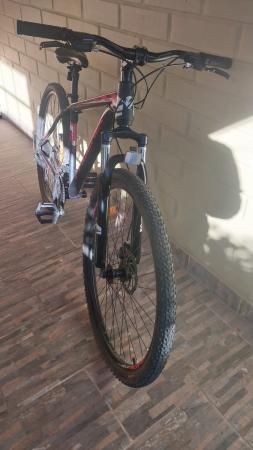 MONTAIN BIKE PHOENIX ARO 29