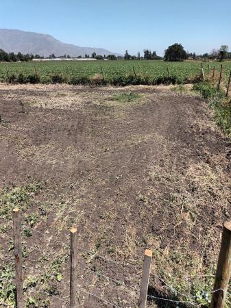 SE VENDE TERRENO EN LA COMUNA DE EL MONTE